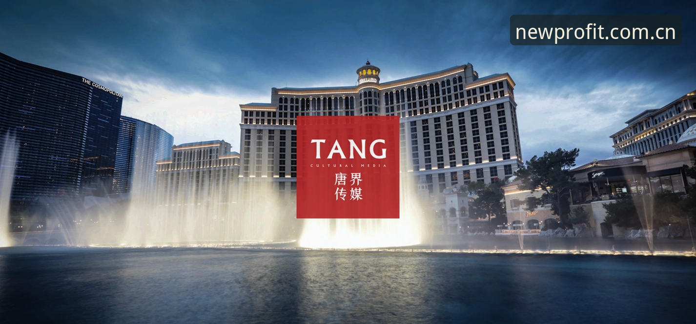 深度揭秘：新利平台官方网站入口背后的安全逻辑与用户体验真相